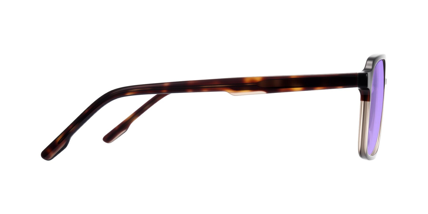 Side of Shawano in Tortoise/Transparent Brown with Medium Purple Tinted Lenses