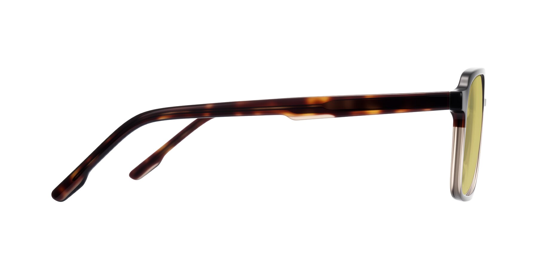 Side of Shawano in Tortoise/Transparent Brown with Medium Champagne Tinted Lenses