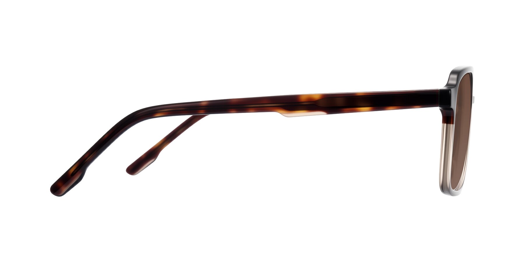 Side of Shawano in Tortoise/Transparent Brown with Brown Tinted Lenses