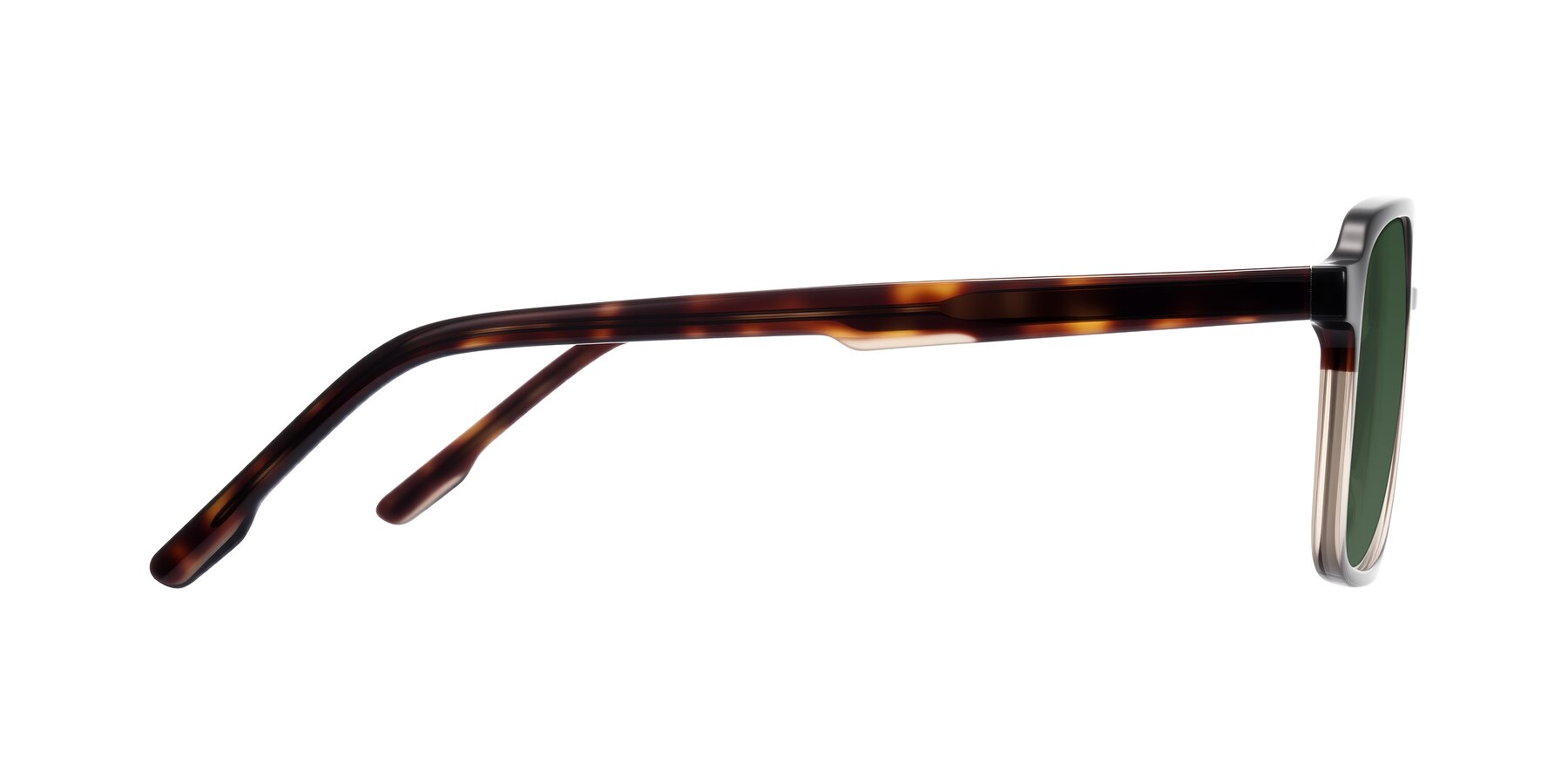 Side of Shawano in Tortoise/Transparent Brown with Green Tinted Lenses