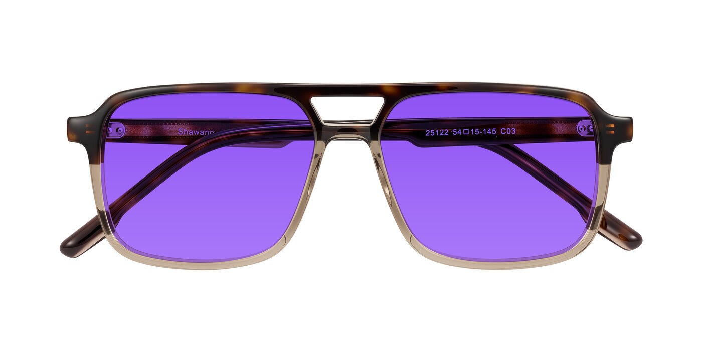 Shawano - Tortoise/Transparent Brown Tinted Sunglasses