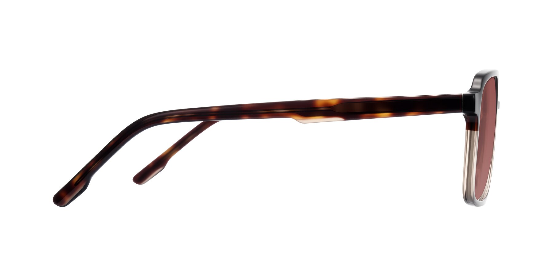 Side of Shawano in Tortoise/Transparent Brown with Garnet Tinted Lenses