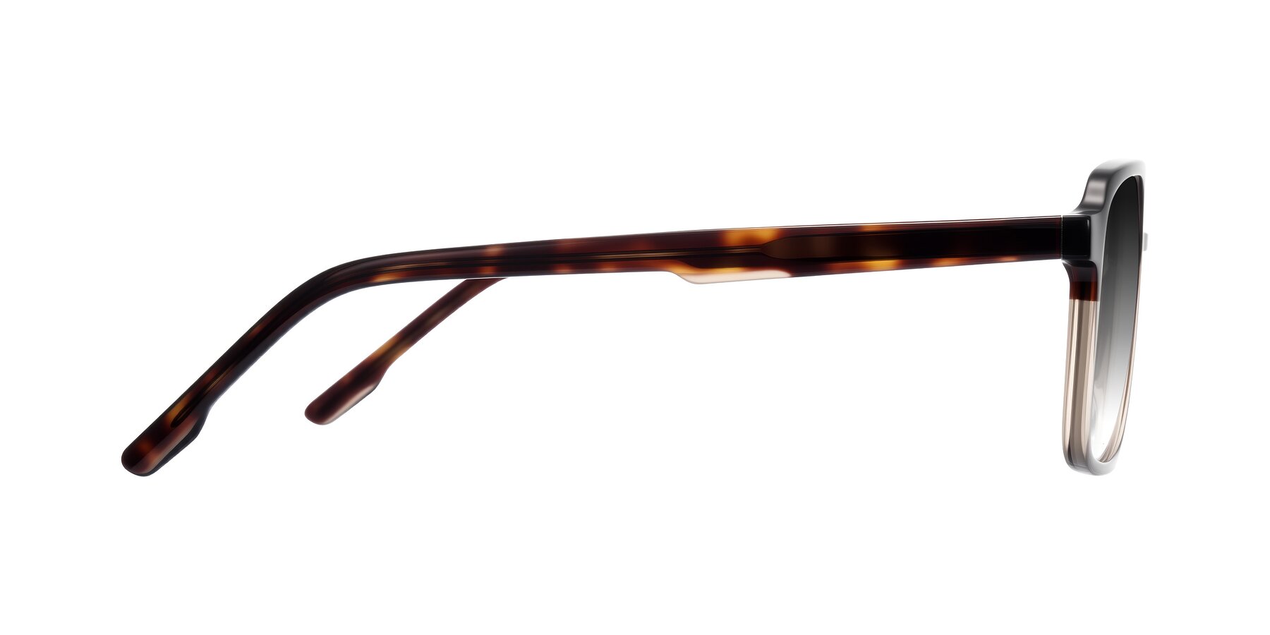 Side of Shawano in Tortoise/Transparent Brown with Gray Gradient Lenses