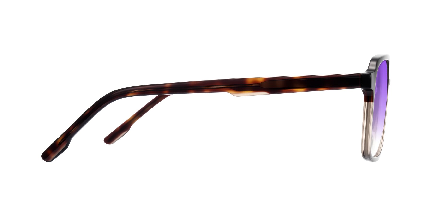 Side of Shawano in Tortoise/Transparent Brown with Purple Gradient Lenses