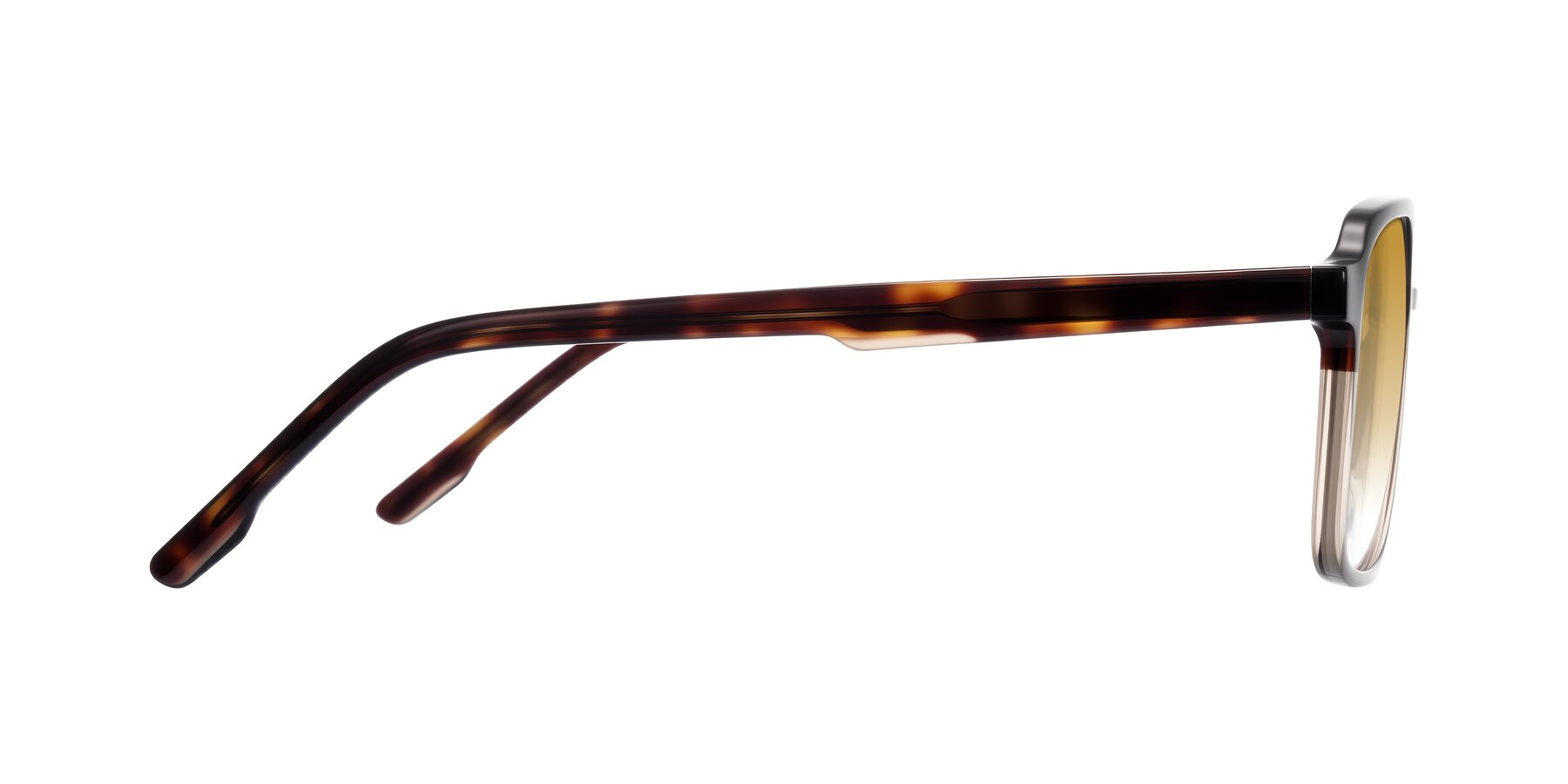 Side of Shawano in Tortoise/Transparent Brown with Champagne Gradient Lenses