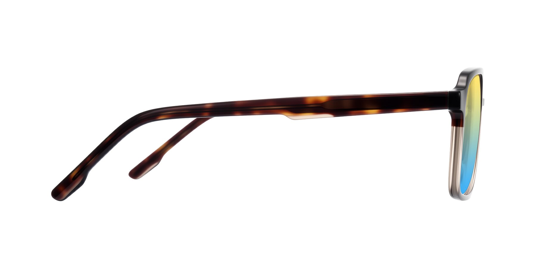 Side of Shawano in Tortoise/Transparent Brown with Yellow / Blue Gradient Lenses