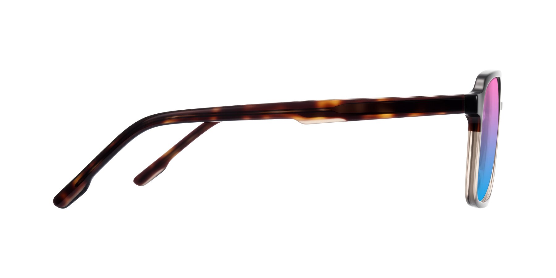 Side of Shawano in Tortoise/Transparent Brown with Pink / Blue Gradient Lenses