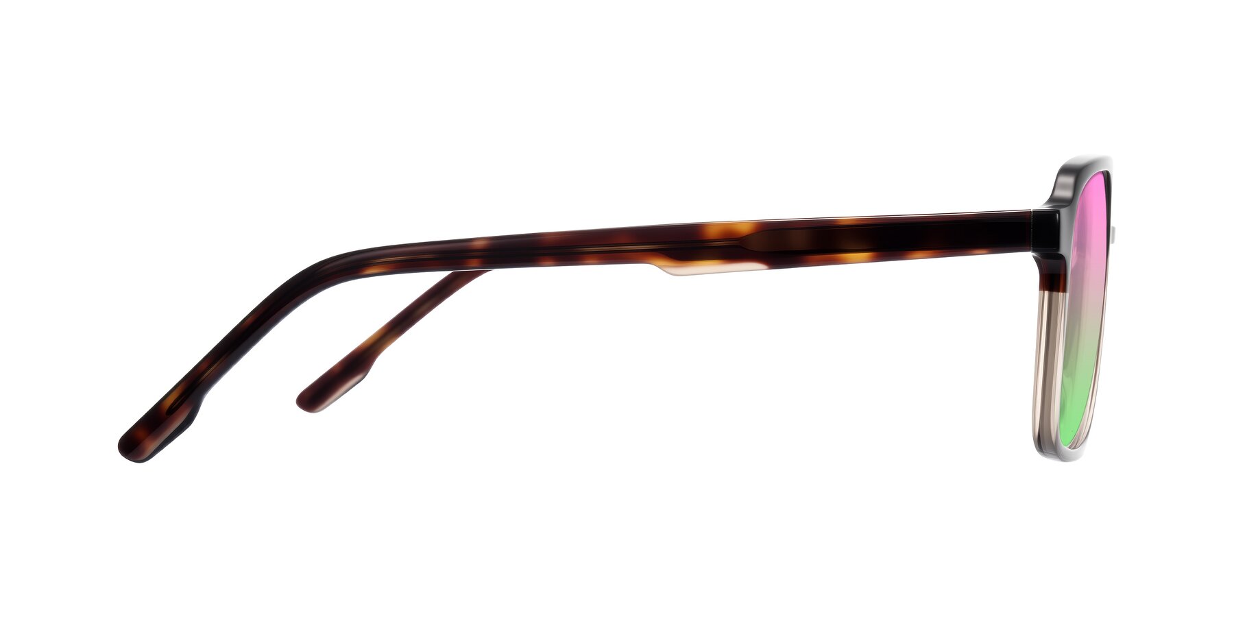Side of Shawano in Tortoise/Transparent Brown with Pink / Green Gradient Lenses