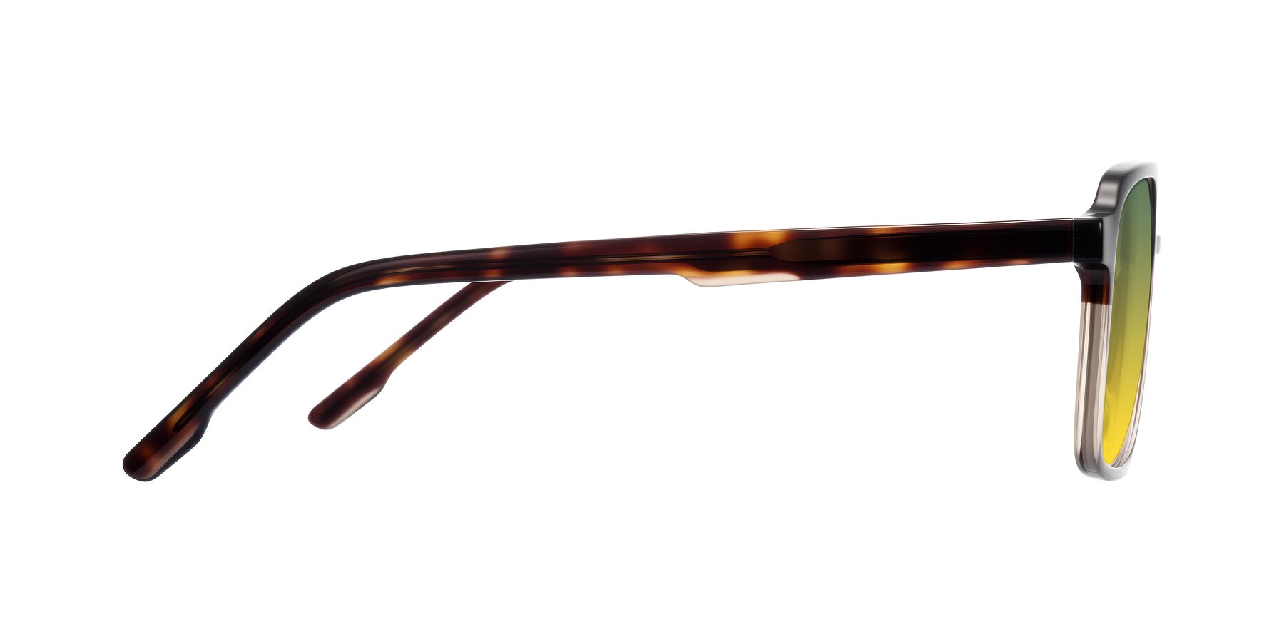 Side of Shawano in Tortoise/Transparent Brown with Green / Yellow Gradient Lenses