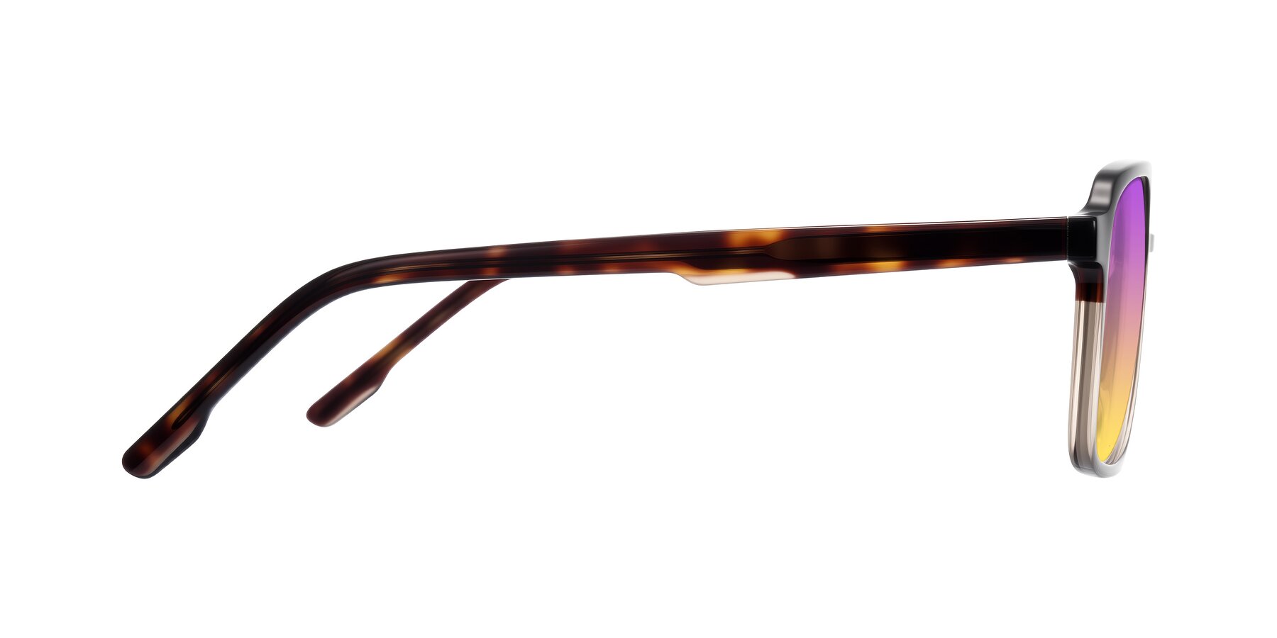 Side of Shawano in Tortoise/Transparent Brown with Purple / Yellow Gradient Lenses
