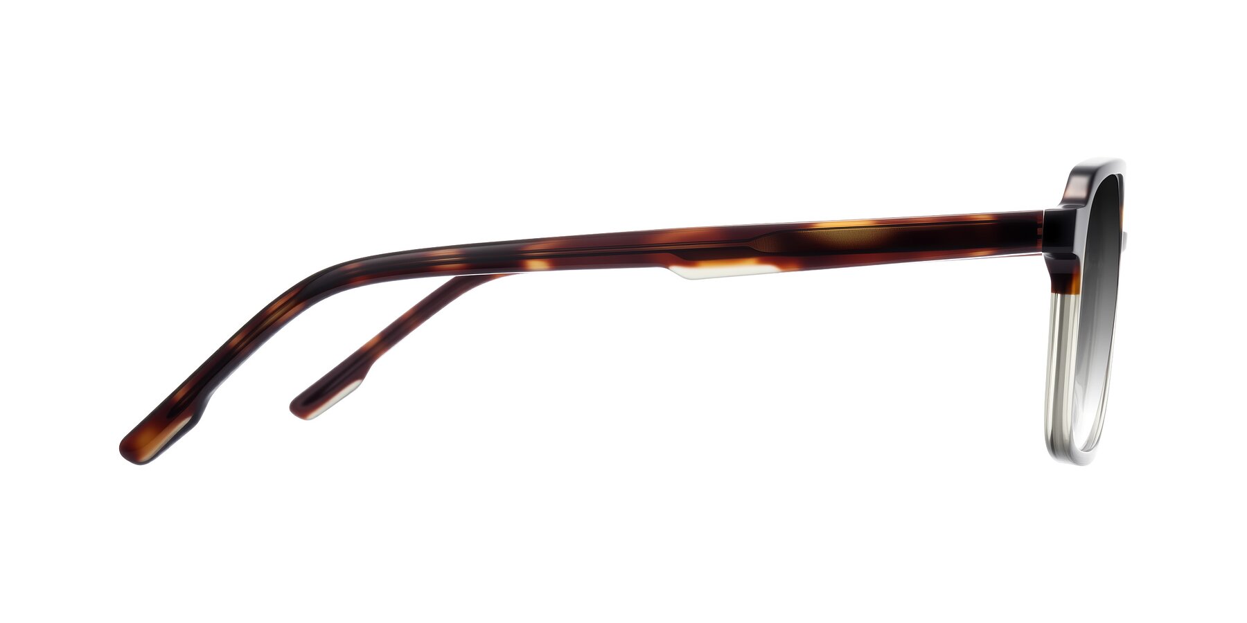 Side of Shawano in Tortoise/Transparent Green with Gray Gradient Lenses