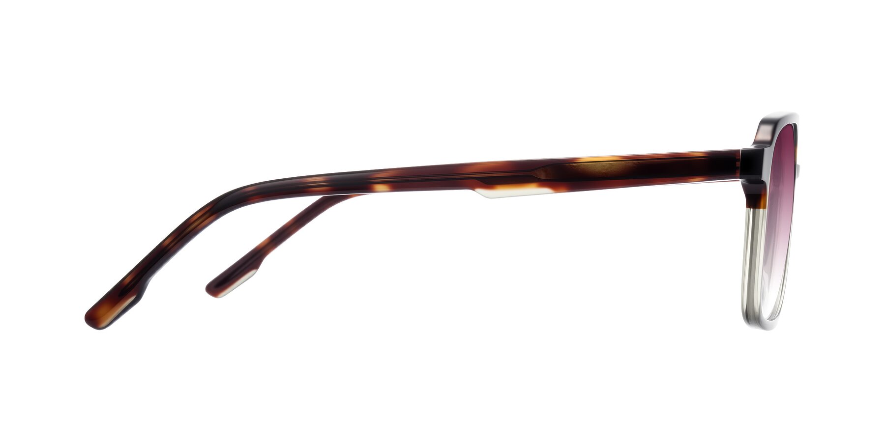 Side of Shawano in Tortoise/Transparent Green with Wine Gradient Lenses