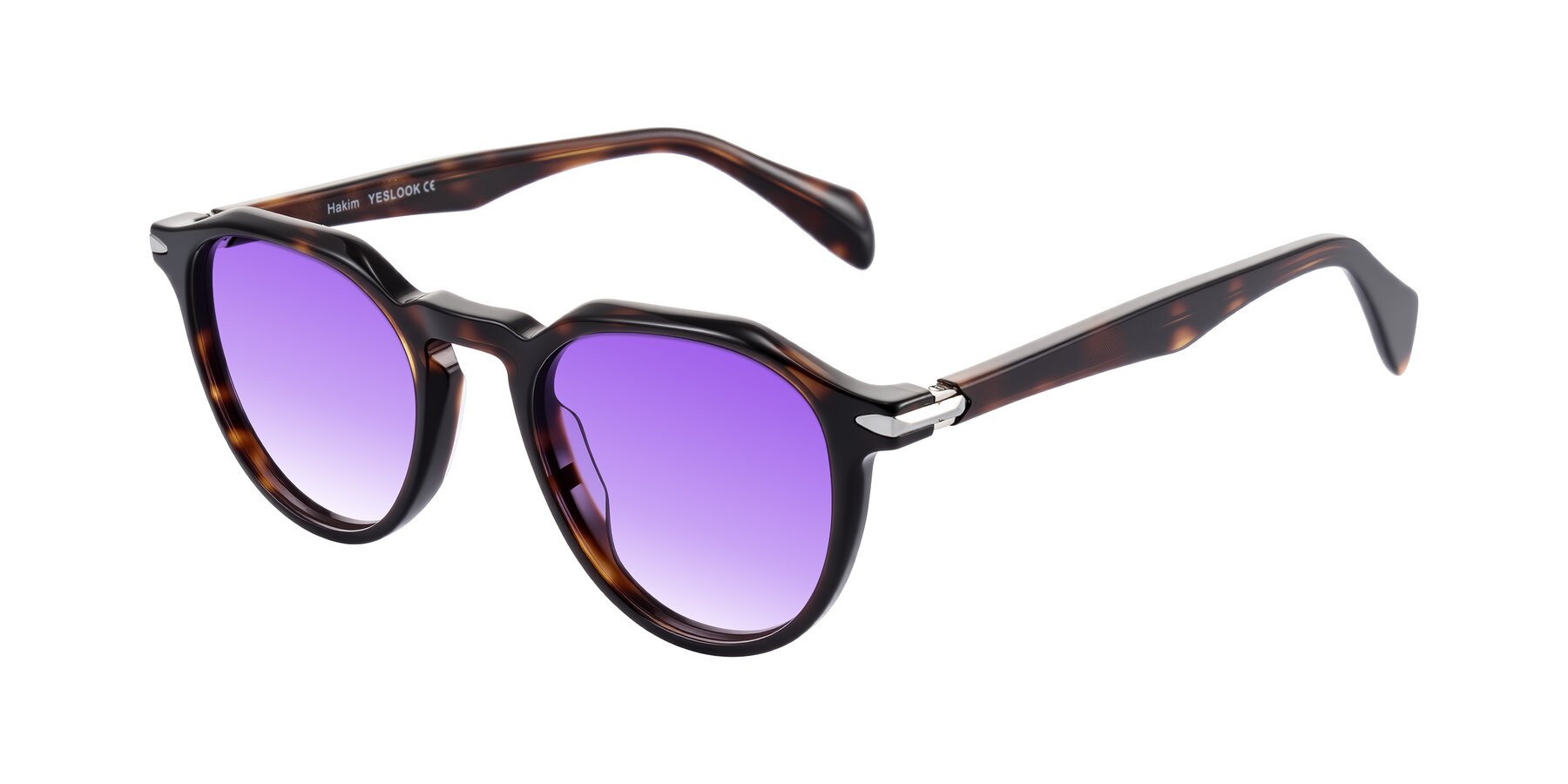 Angle of Hakim in Tortoise with Purple Gradient Lenses