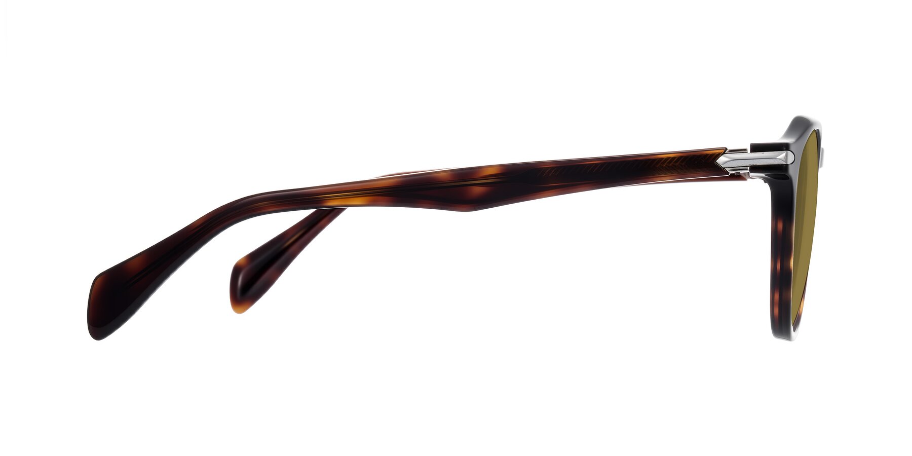 Side of Hakim in Tortoise with Brown Polarized Lenses