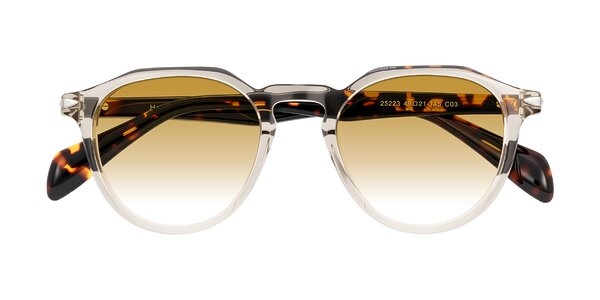 Front of Hakim in Champagne/Tortoise