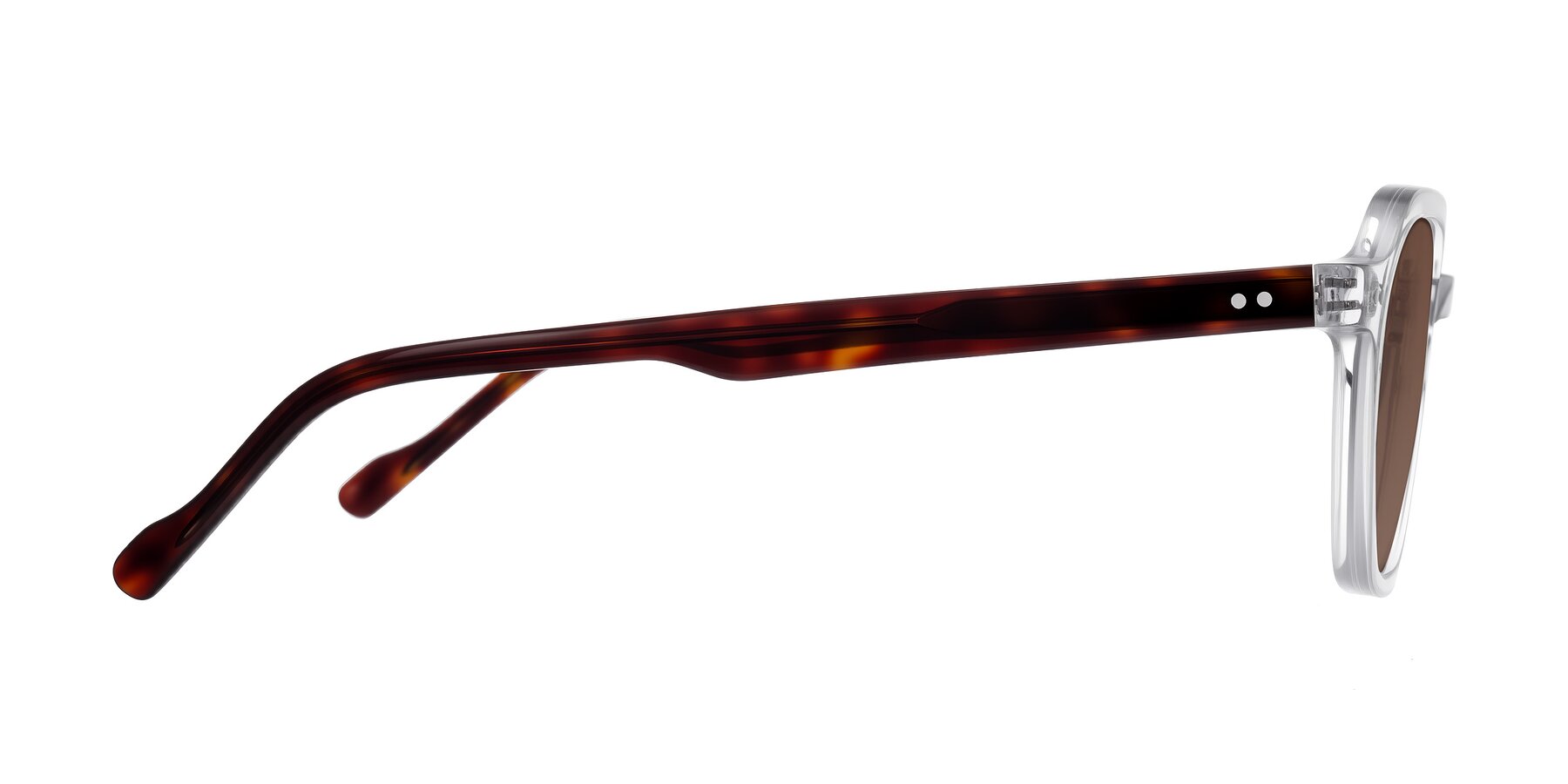 Side of Electra in Clear/Tortoise with Brown Tinted Lenses