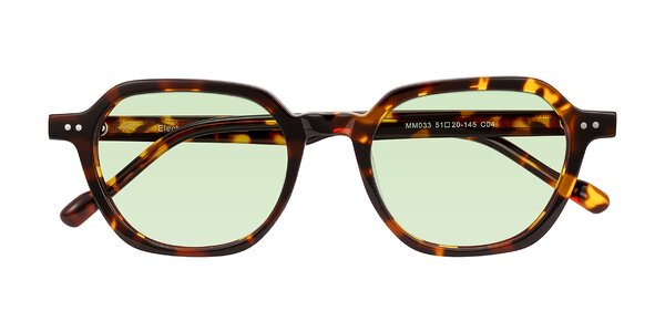 Front of Electra in Tortoise