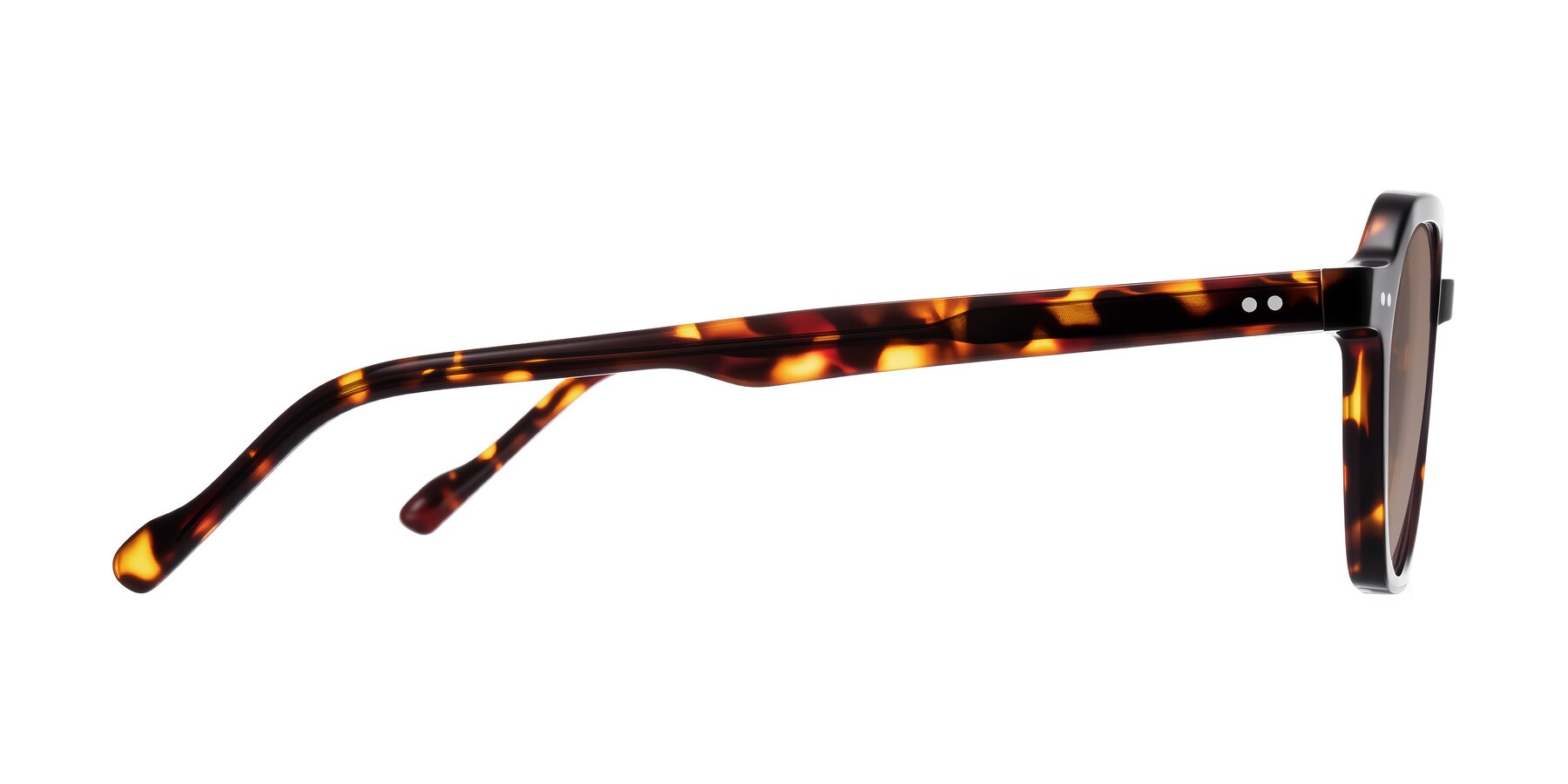 Side of Electra in Tortoise with Medium Brown Tinted Lenses