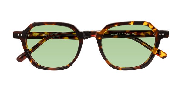 Front of Electra in Tortoise