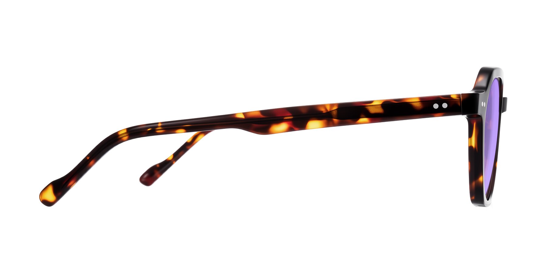 Side of Electra in Tortoise with Medium Purple Tinted Lenses