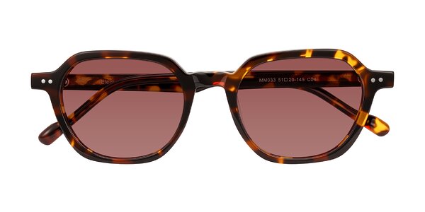 Front of Electra in Tortoise