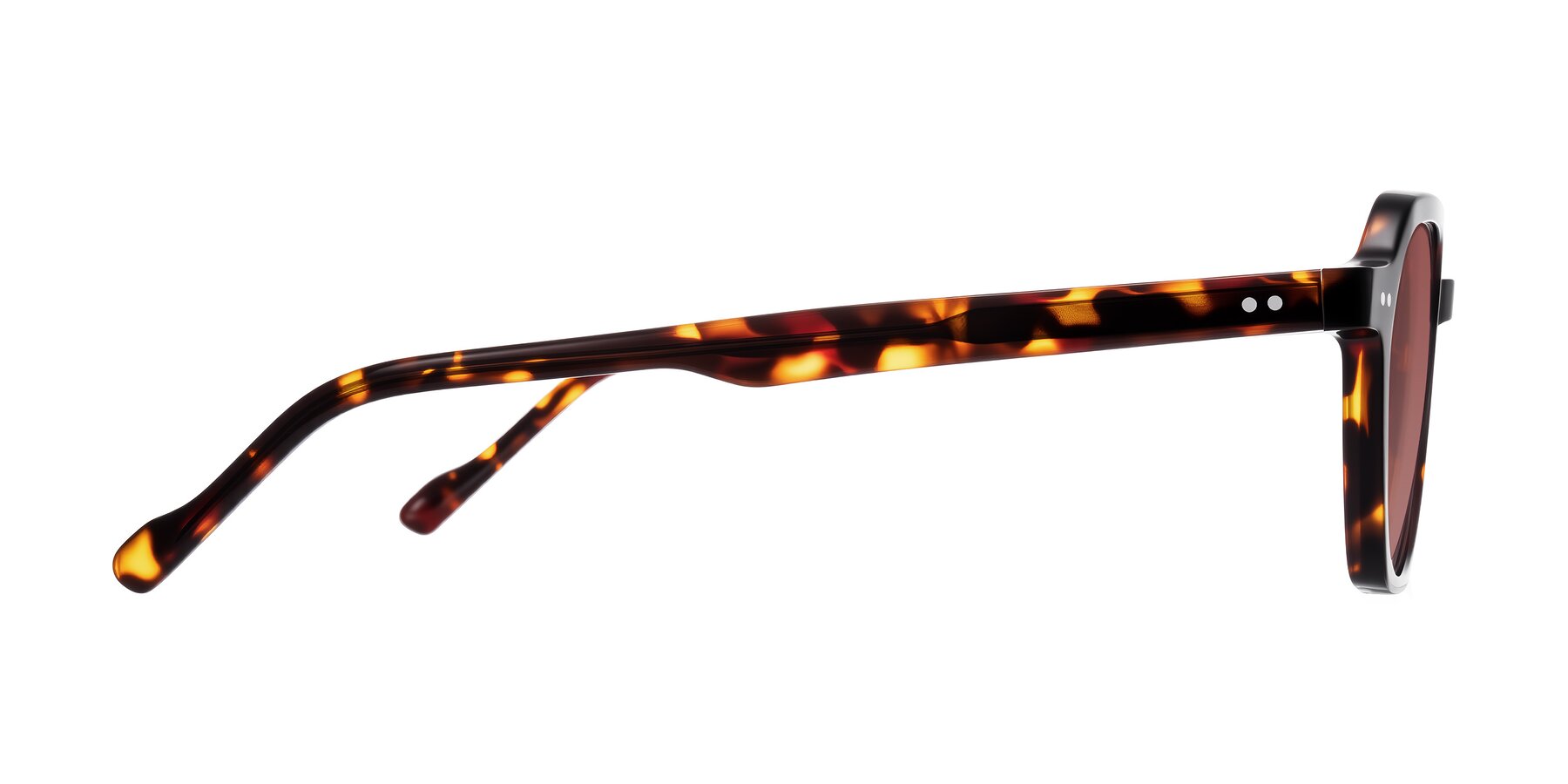 Side of Electra in Tortoise with Garnet Tinted Lenses
