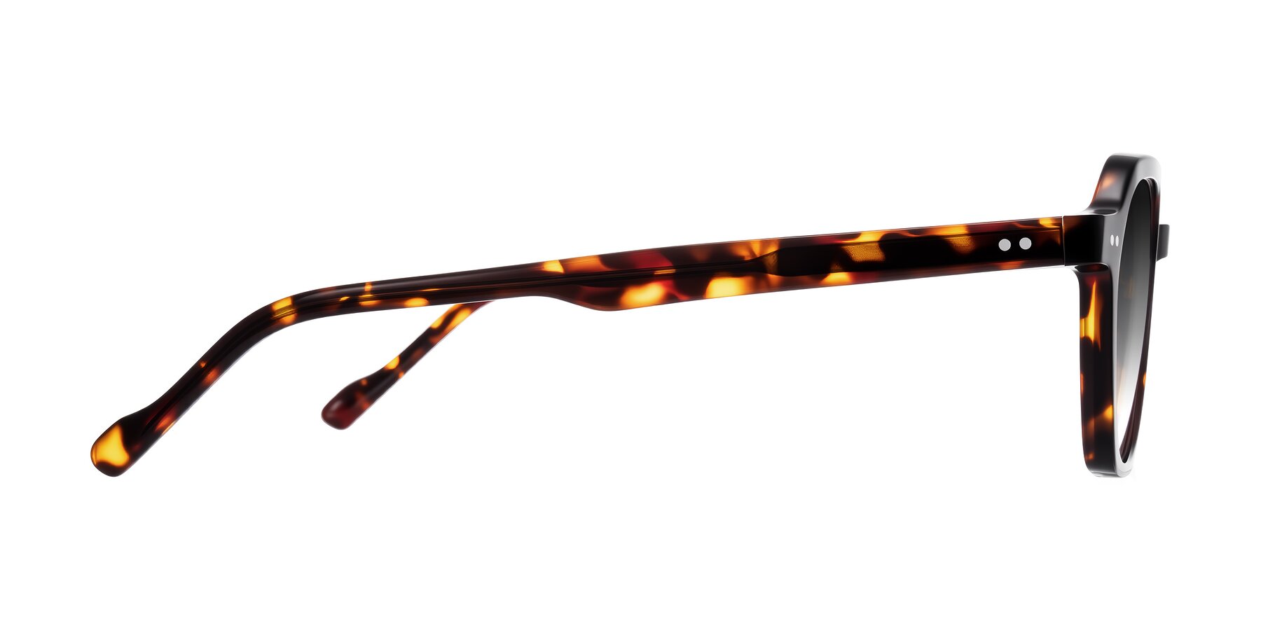 Side of Electra in Tortoise with Gray Gradient Lenses