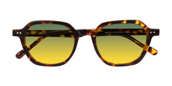 Front of Electra in Tortoise