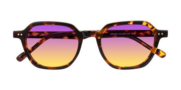Front of Electra in Tortoise