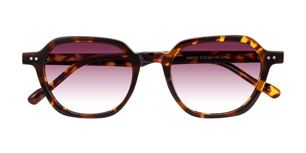 Front of Electra in Tortoise