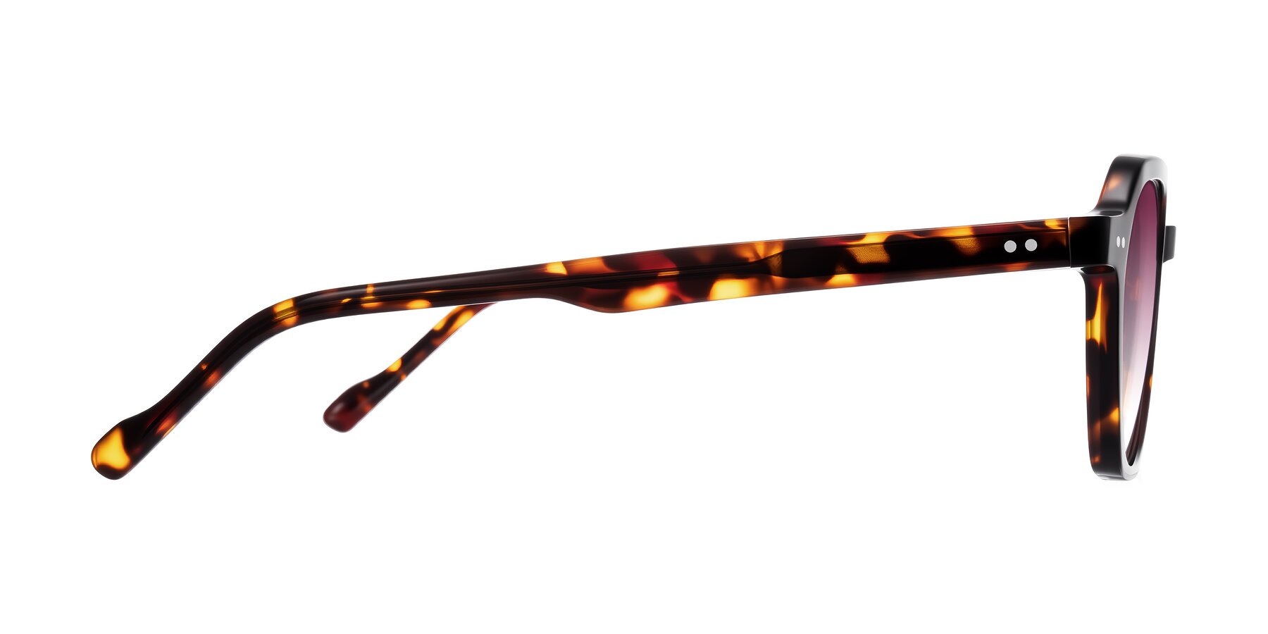 Side of Electra in Tortoise with Wine Gradient Lenses
