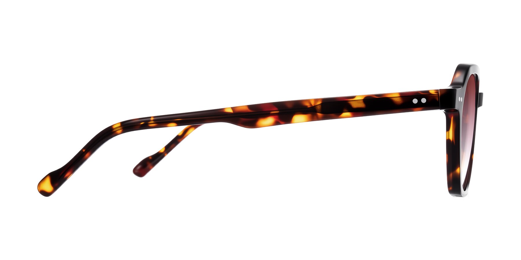 Side of Electra in Tortoise with Garnet Gradient Lenses