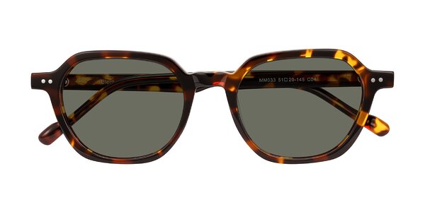 Front of Electra in Tortoise