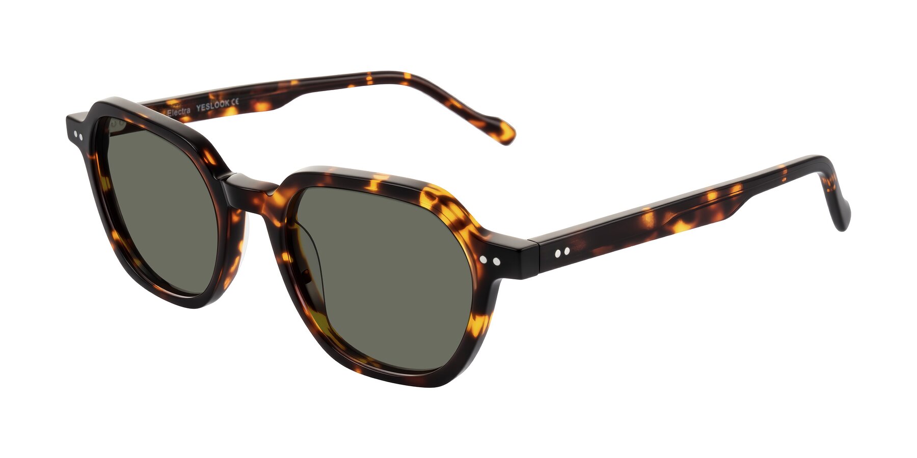 Angle of Electra in Tortoise with Gray Polarized Lenses