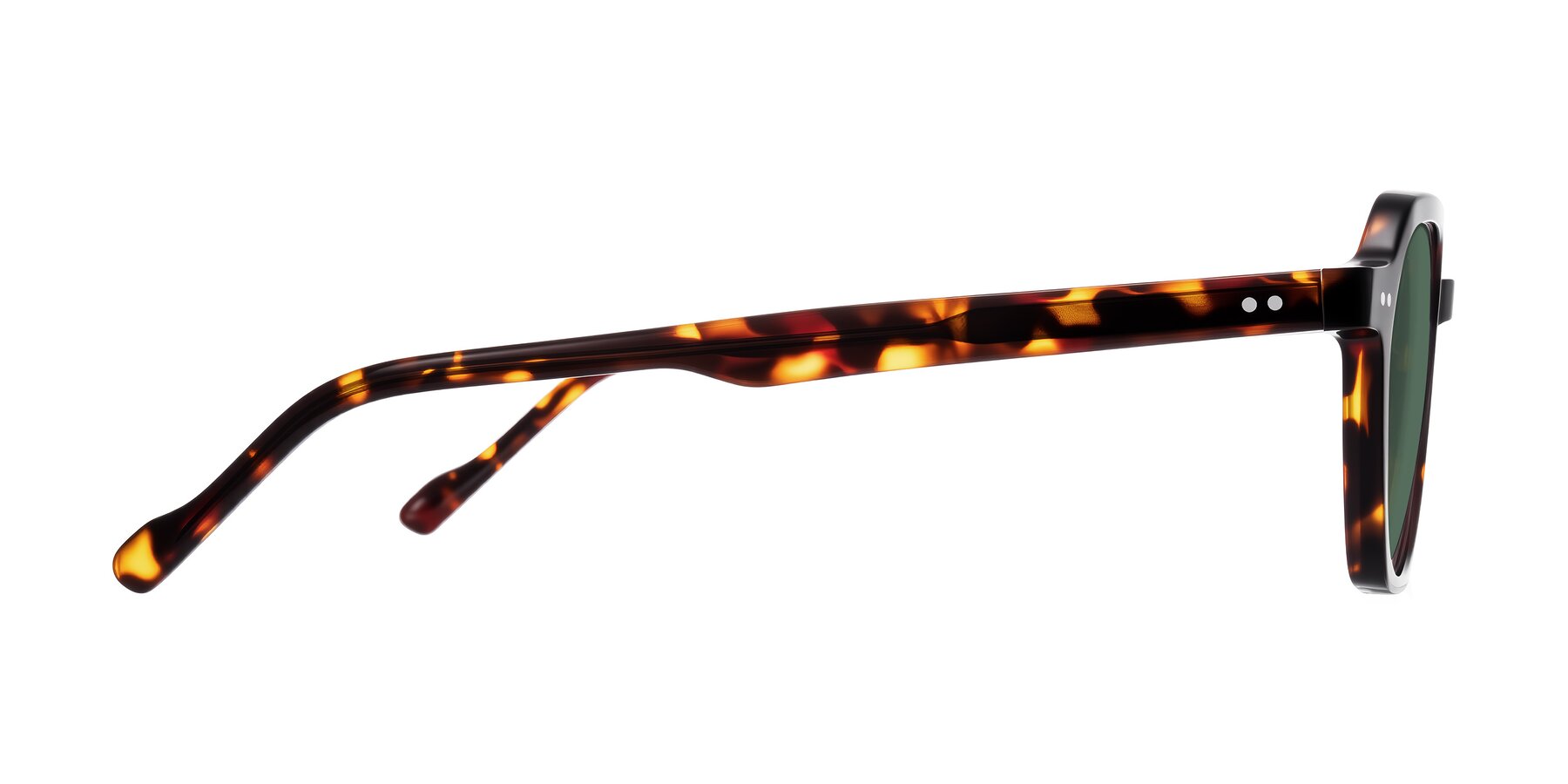 Side of Electra in Tortoise with Green Polarized Lenses