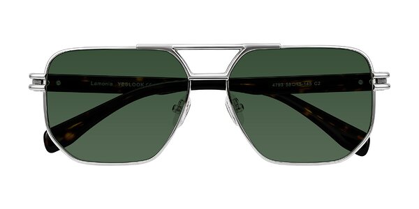 Front of Lamonia in Silver/Tortoise