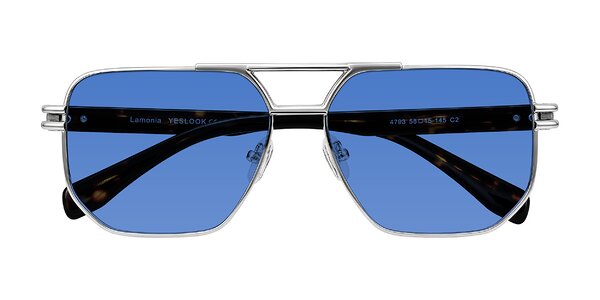 Front of Lamonia in Silver/Tortoise