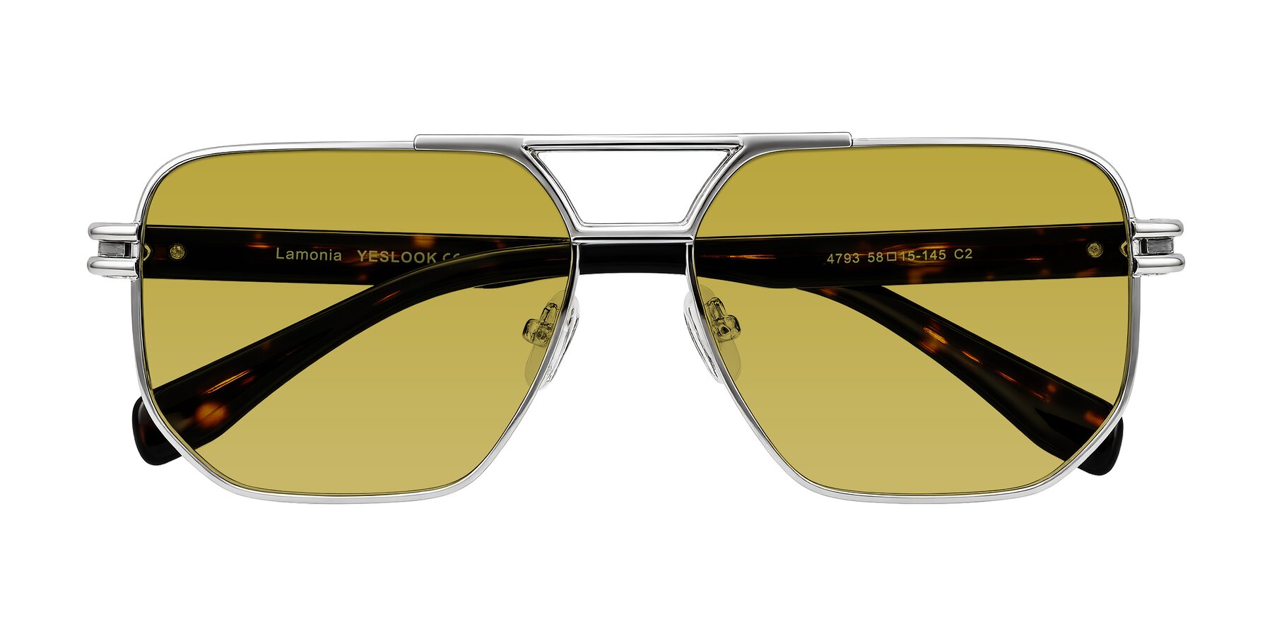 Folded Front of Lamonia in Silver/Tortoise with Champagne Tinted Lenses