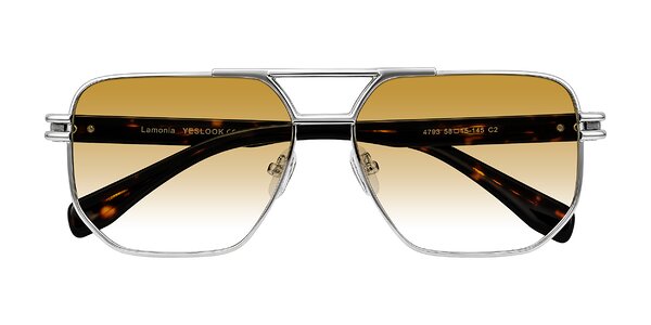 Front of Lamonia in Silver/Tortoise