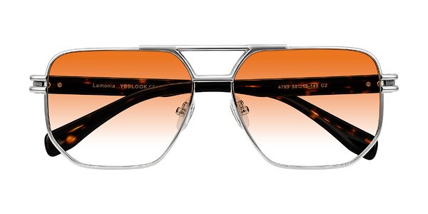 Front of Lamonia in Silver/Tortoise