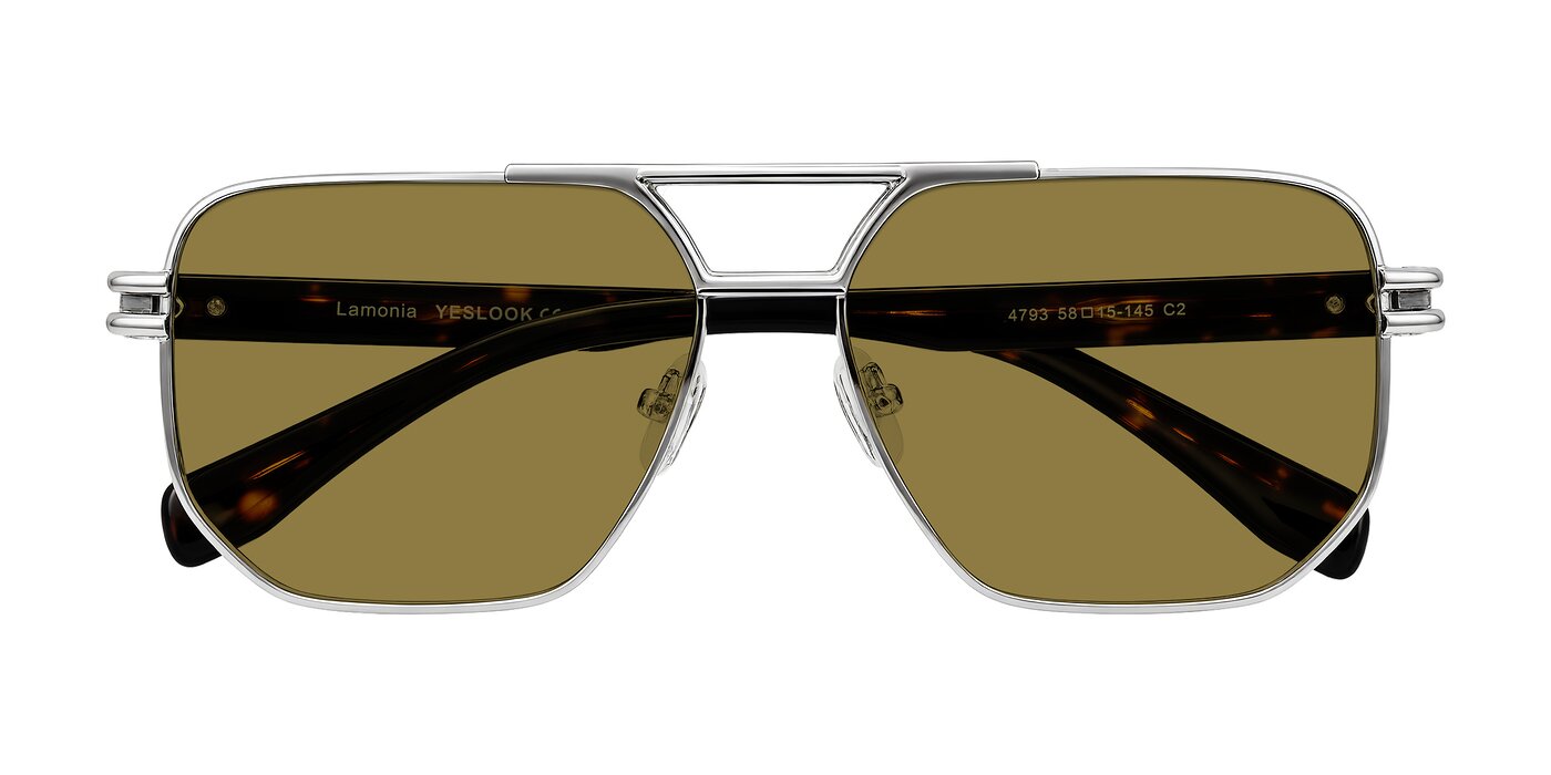Lamonia - Silver/Tortoise Polarized Sunglasses