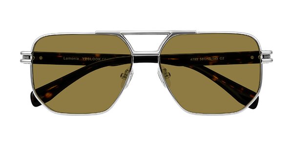 Front of Lamonia in Silver/Tortoise