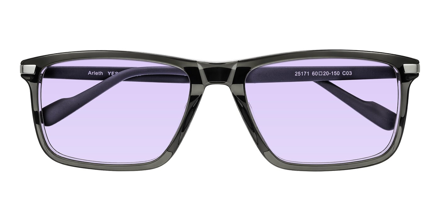 Arleth - Transparent Gray Tinted Sunglasses