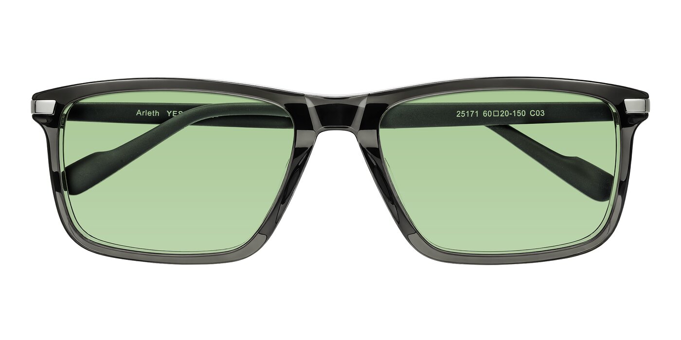 Arleth - Transparent Gray Tinted Sunglasses