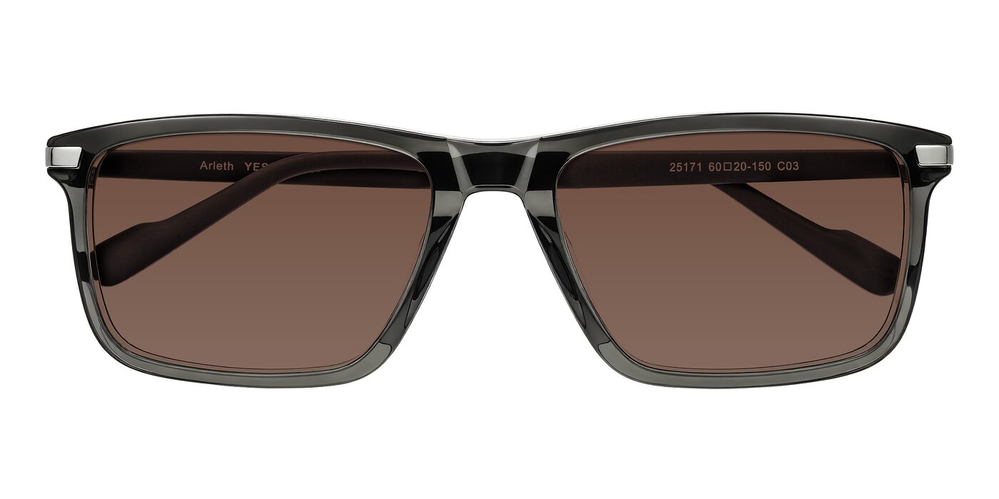 Arleth - Transparent Gray Tinted Sunglasses