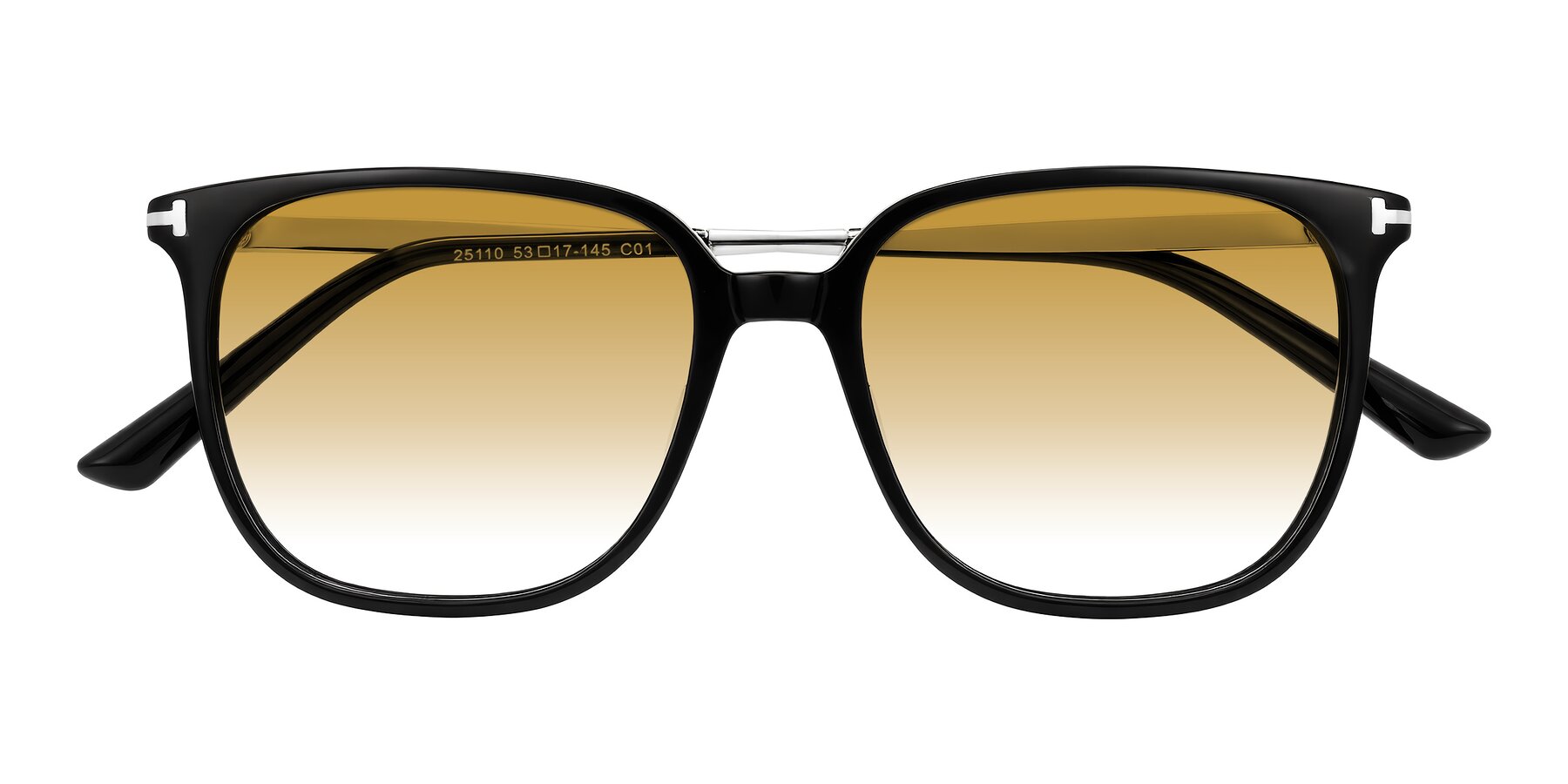 Folded Front of Trusten in Black with Champagne Gradient Lenses