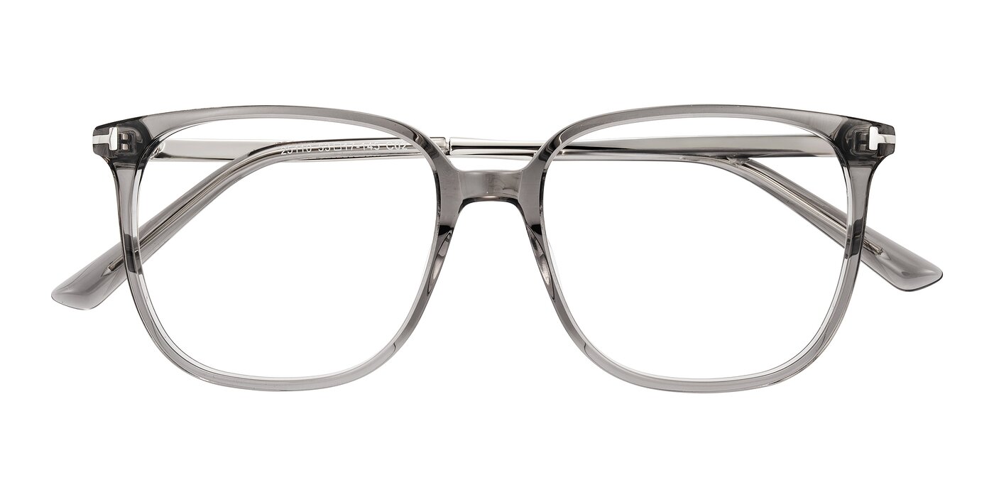 Trusten - Transparent Gray Eyeglasses