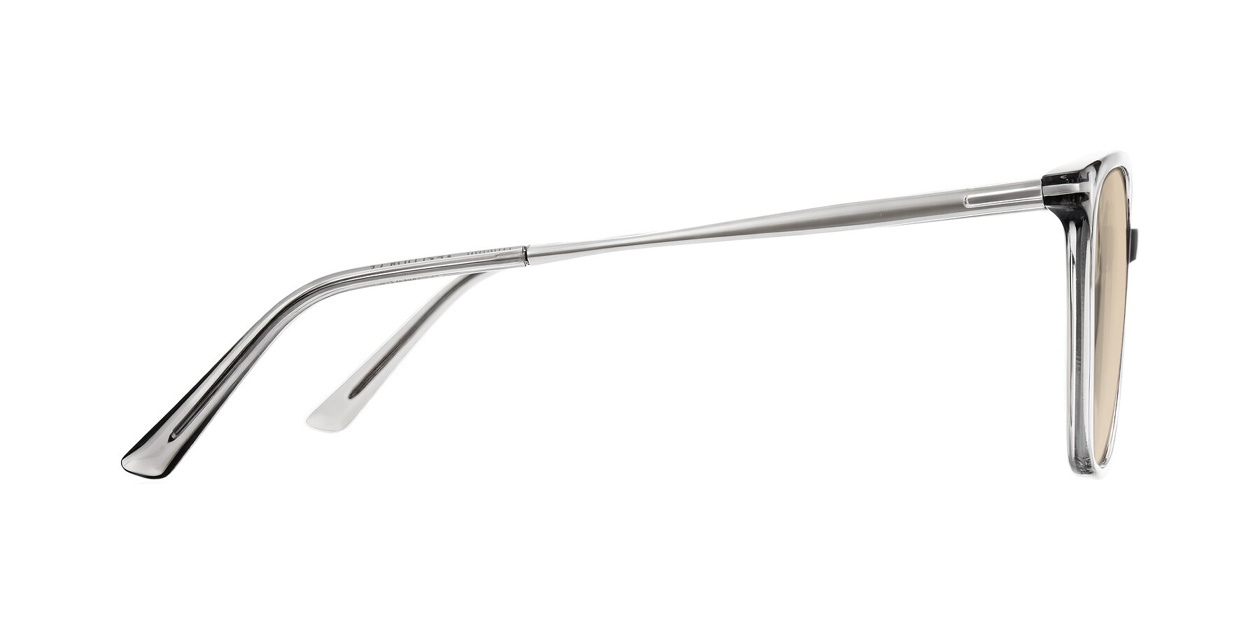Side of Trusten in Transparent Gray with Light Brown Tinted Lenses