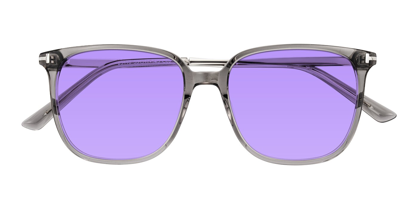 Trusten - Transparent Gray Tinted Sunglasses