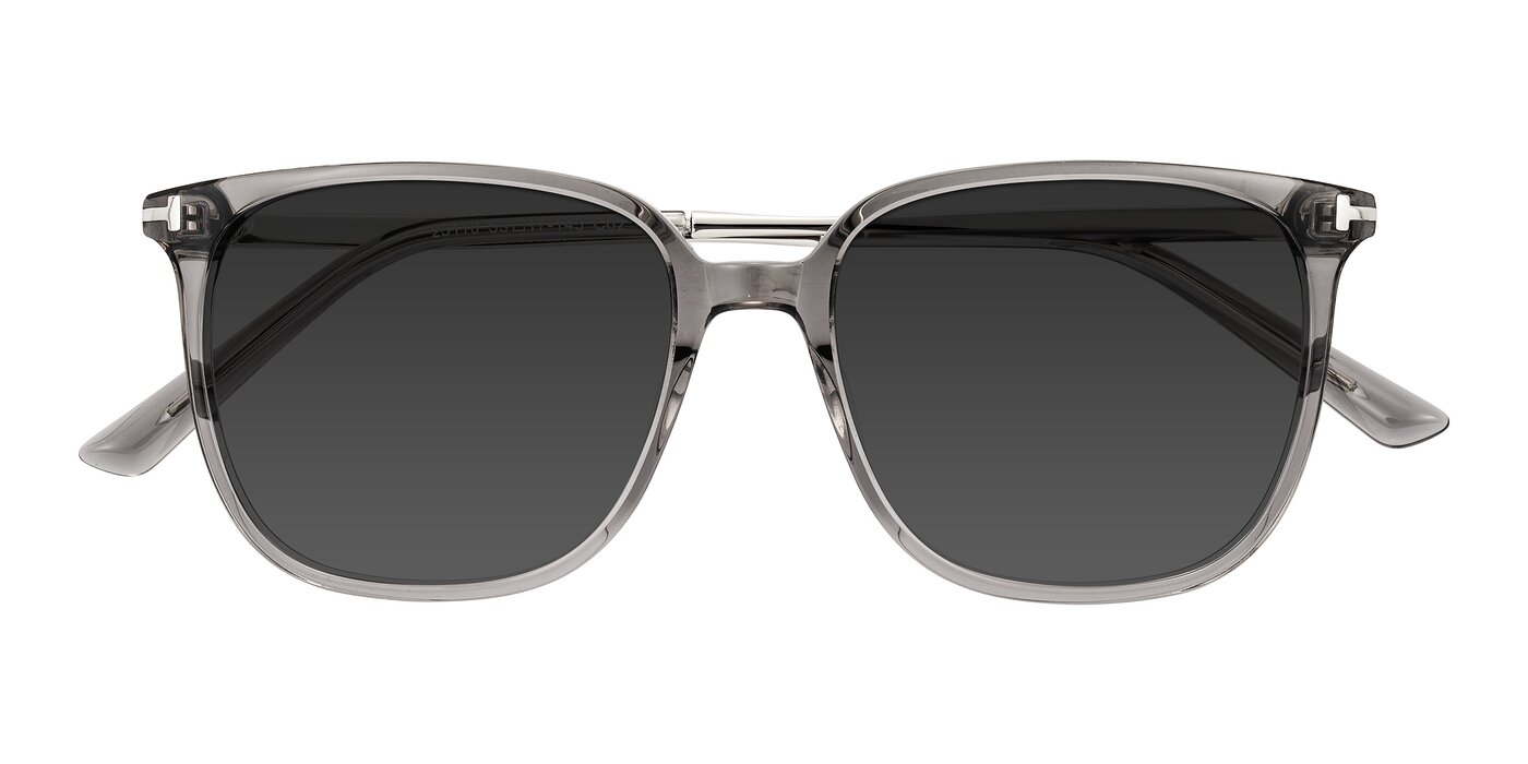 Trusten - Transparent Gray Tinted Sunglasses